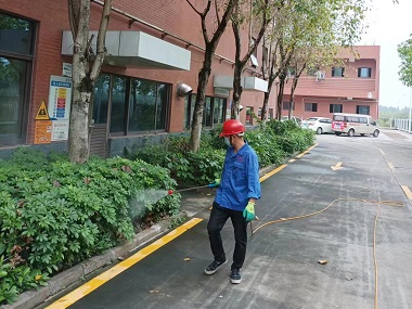 禅城病媒生物防控中心绿化带蚊蝇防治怎么做