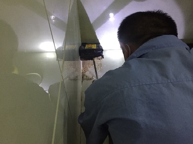 禅城上门灭白蚁中心4大诱因，让卫生间成白蚁“温床”
